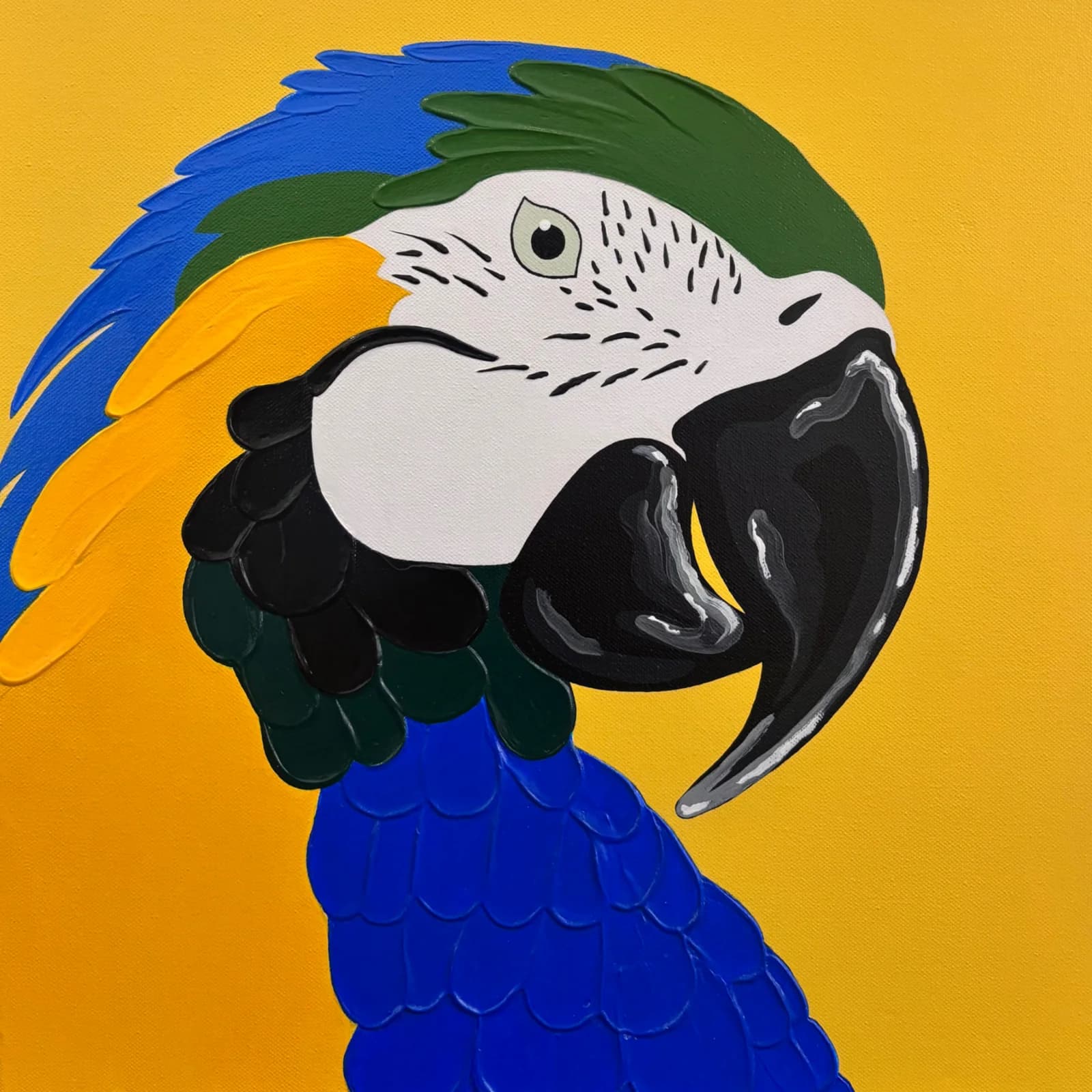 Brasil Palette