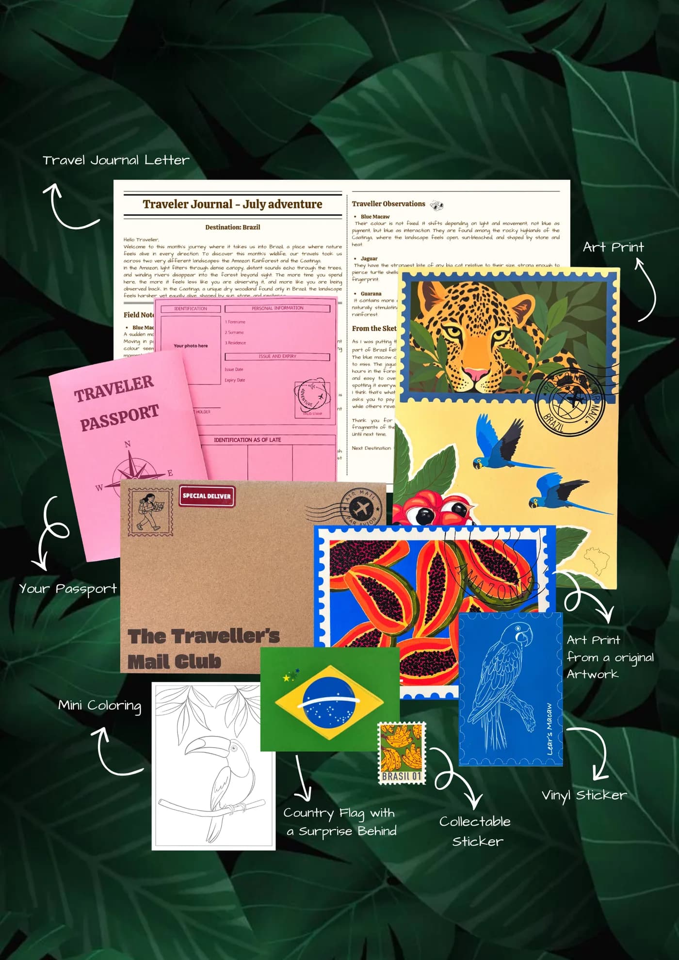 July Adventure - Brazil, a Mail Club edition